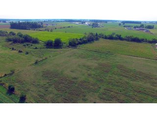 Allen County, Indiana Farmstead - FARMSTEAD AUCTION - 41+/- ACRES IN 4 TRACTS IN ALLEN COUNTY, INDIANA
